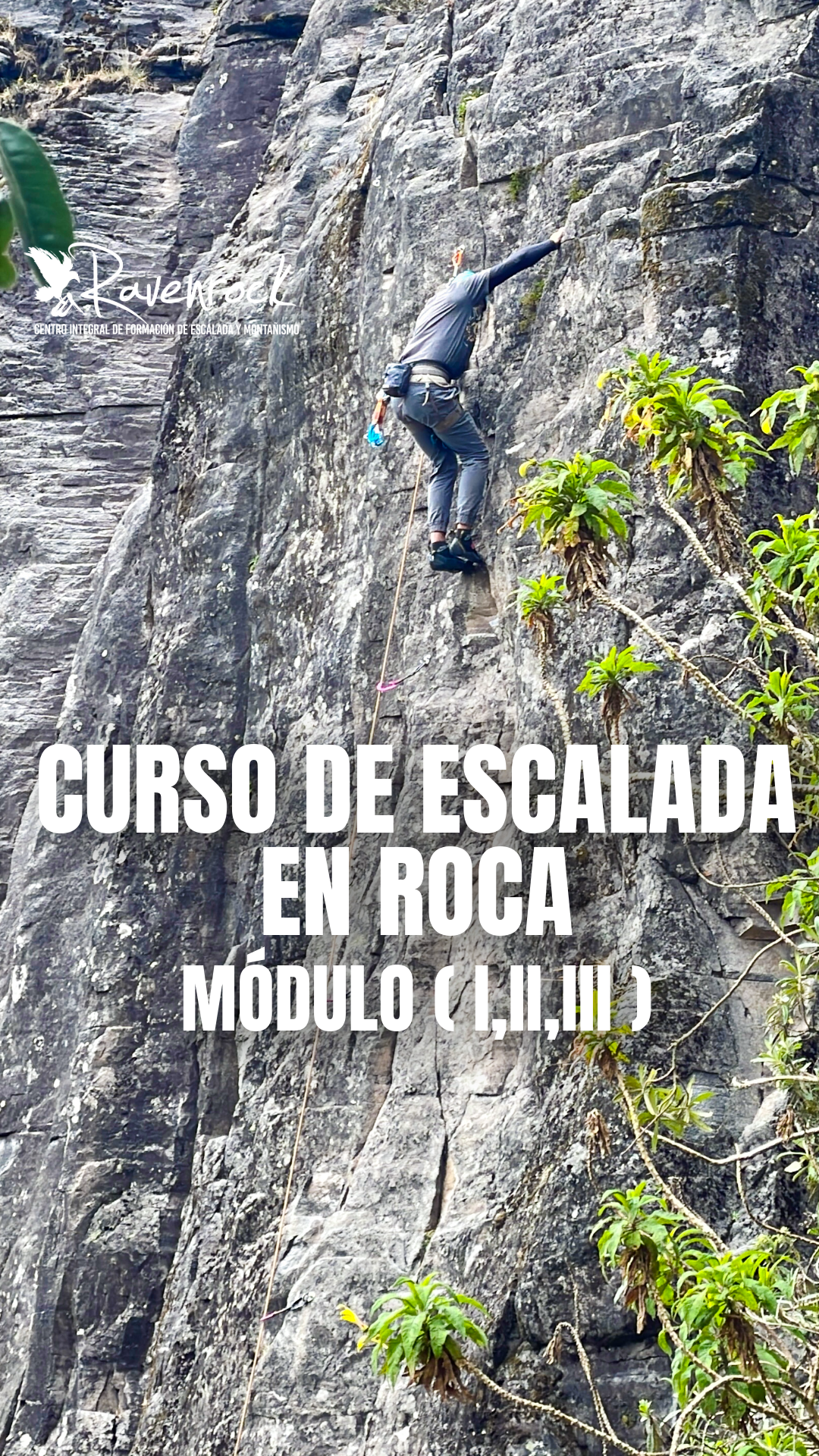 cursos de escalada en quito